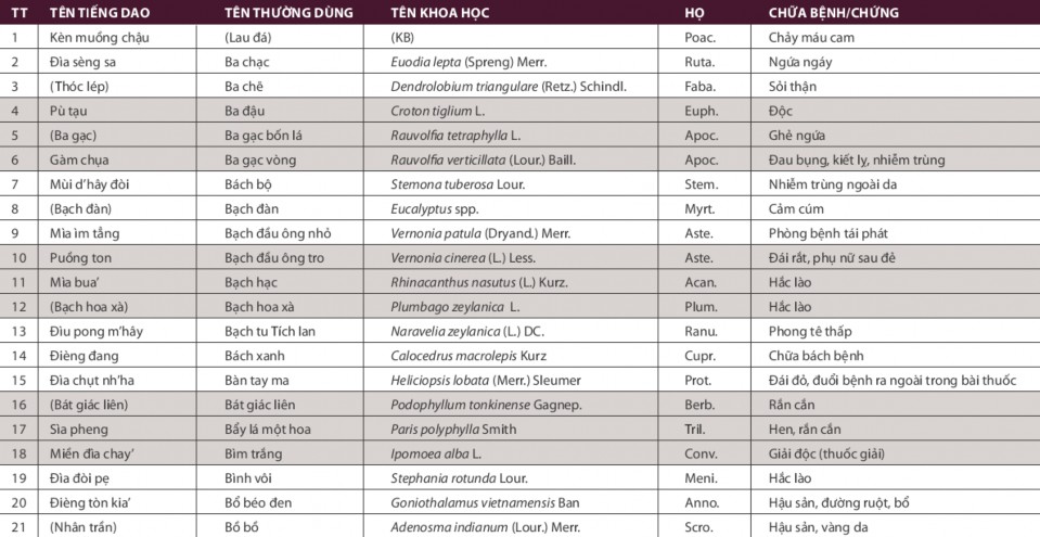 CÂY THUỐC Ở BA VÌ Nguồn Cây thuốc người Dao Ba Vì The Asia Foundation 2012 1