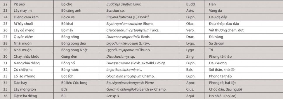 CÂY THUỐC Ở BA VÌ Nguồn Cây thuốc người Dao Ba Vì The Asia Foundation 2012 2