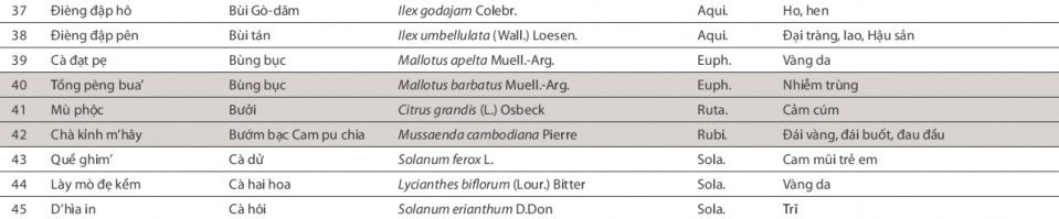 CÂY THUỐC Ở BA VÌ Nguồn Cây thuốc người Dao Ba Vì The Asia Foundation 2012 3