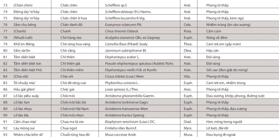 CÂY THUỐC Ở BA VÌ Nguồn Cây thuốc người Dao Ba Vì The Asia Foundation 2012 5