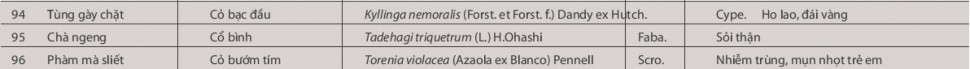 CÂY THUỐC Ở BA VÌ Nguồn Cây thuốc người Dao Ba Vì The Asia Foundation 2012 6