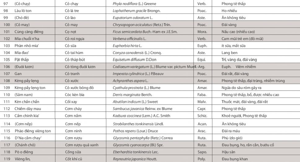 CÂY THUỐC Ở BA VÌ Nguồn Cây thuốc người Dao Ba Vì The Asia Foundation 2012 7