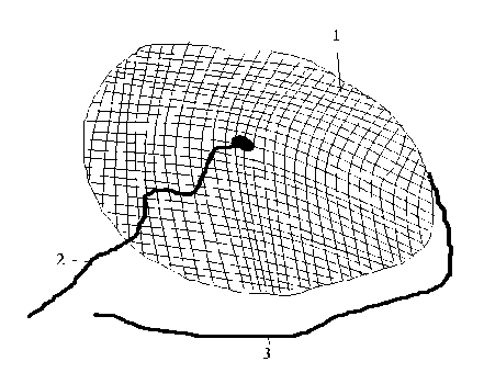 Hình vẽ Cái Chàn chài Chú thích 1 thân chài 2 và 3 dây chài HÌNH VẼ HẸO 5