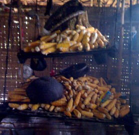 Sấy khô sắn trên giàn bếp Sấy khô ngô trên giàn bếp Phụ lục 18 Một số 10