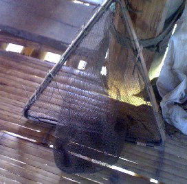 Cái lò một công cụ để chế biến sắn Một vật dụng để bắt cá của 12