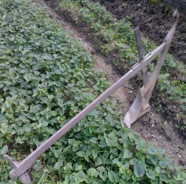 Cái chàn chài Cái cày của người Đan Lai Nguồn Hoàng Kim Thoa 2008 Phụ 14