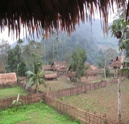 Nguyên liệu dựng nhà của người Đan Lai Nhà và vườn của người Đan Lai 16