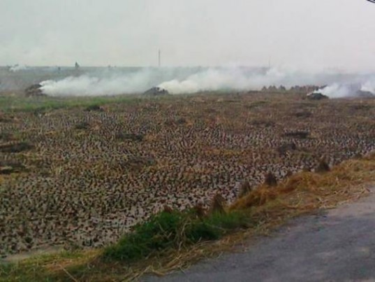 Hình 3 11 Người dân đốt rơm ngay tại đồng để lấy tro Hình 3 12 rơm sử 1