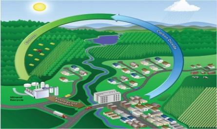 Triển vọng phát triển năng lượng sinh học của tỉnh Vĩnh Phúc trong bối cảnh khủng hoảng năng lượng toàn cầu - 7