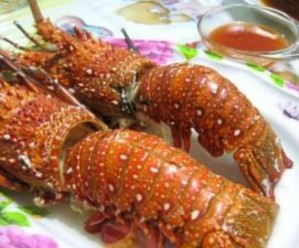 5 Bề Bề Hạ Long Cù Kỳ Hạ Long Rượu nếp ngâm rươụ Nga ́ n Hạ Long 6 18