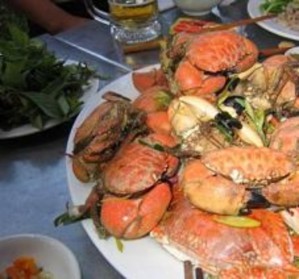 6 Phụ lục 6 Các dạng tai biến nhân sinh ở vùng Hạ Long Cát Bà TT Các tai 21