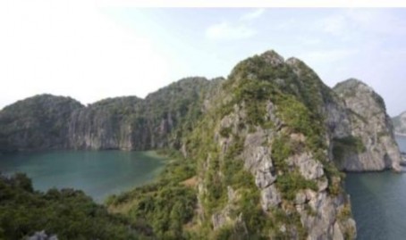 Hình 1 4 Hê ̣sinh tha ́ i tu ̀ ng a ́ ng trên viṇ h Ha ̣Long Nguồn Viên Ta ̀ i 4