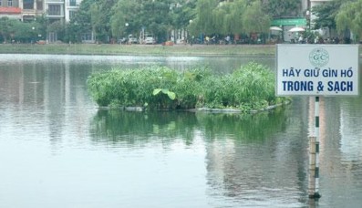 Hình 1 2 Mô hình bè nổi trồng thuỷ trúc trên Hồ Ngọc Khánh 67 2 Vấ n đề 3