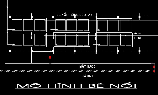 Mô hình trồng cây ven bờ ngập nước Áp dụng cho rau Muống cải Soong ngổ Trâu 2