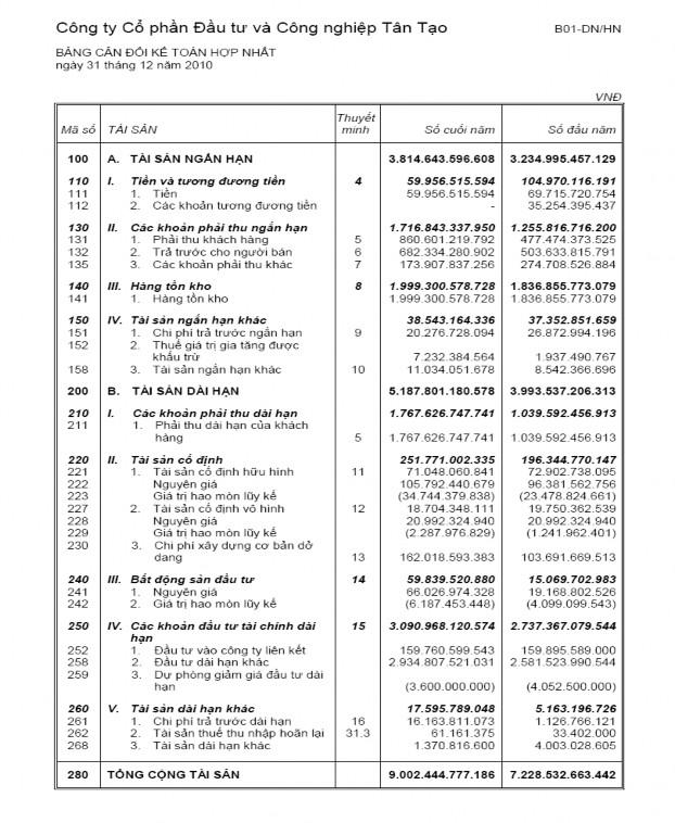 LỤC 5 BÁO CÁO TÀI CHÍNH CÔNG TY CP ĐẦU TƯ CÔNG NGHIỆP TÂN TẠO NĂM 2009 2010 6
