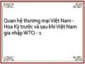 Quan hệ thương mại Việt Nam - Hoa Kỳ trước và sau khi Việt Nam gia nhập WTO