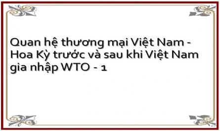 Quan hệ thương mại Việt Nam - Hoa Kỳ trước và sau khi Việt Nam gia nhập WTO - 1