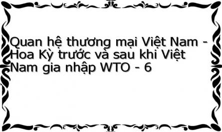 Quan hệ thương mại Việt Nam - Hoa Kỳ trước và sau khi Việt Nam gia nhập WTO - 6