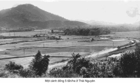 Hợp tác hóa nông nghiệp ở Thái Nguyên từ 1958 đến 1990 - 14