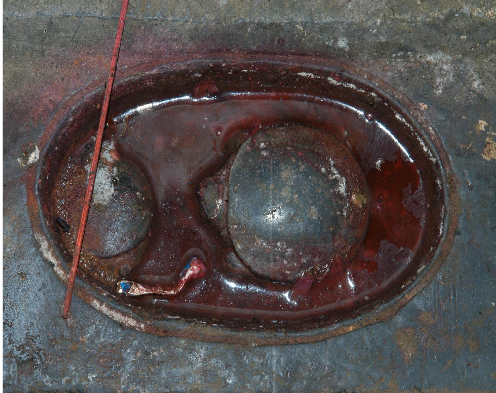 Ảnh 15 Trang trí hình con rùa trên đế bia Thiên Trù tự bi ký Chính Hòa 7 11