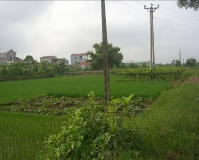 Tình trạng manh mún ruộng đất của Văn Giang trước DĐĐT Những thay đổi kinh 1