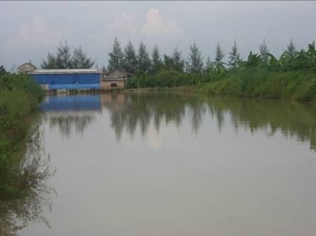 Kinh tế trang trại VAC một mô hình phổ biến sau DĐĐT Bê tông hoá kênh mương 10