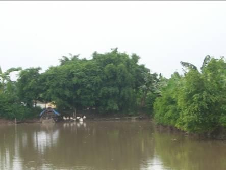 Kinh tế trang trại VAC một mô hình phổ biến sau DĐĐT Bê tông hoá kênh mương 11