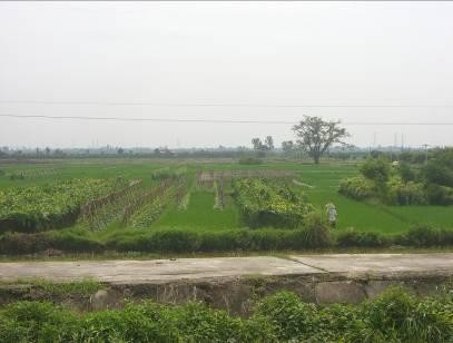 Tình trạng manh mún ruộng đất của Văn Giang trước DĐĐT Những thay đổi kinh 2