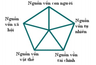 Nguồn http www livelihoods org info guidance sheets rtfs Sect2 rtf Hình 2 Tài sản của 1