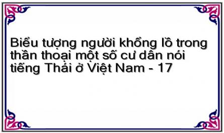 Biểu tượng người khổng lồ trong thần thoại một số cư dân nói tiếng Thái ở Việt Nam - 17