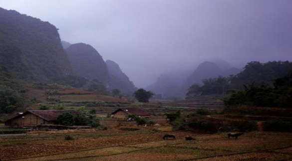 Bản người Tày ở Cao Bằng Nguồn http images google com vn imgres imgurl http 7