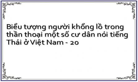 Biểu tượng người khổng lồ trong thần thoại một số cư dân nói tiếng Thái ở Việt Nam - 20