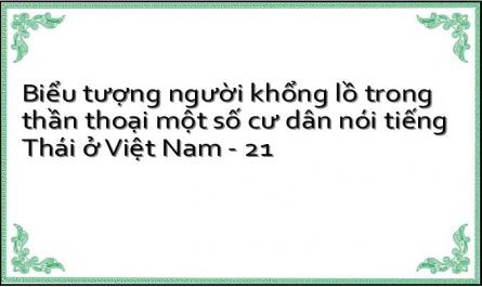 Biểu tượng người khổng lồ trong thần thoại một số cư dân nói tiếng Thái ở Việt Nam - 21
