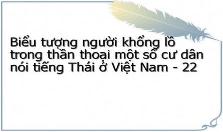 Biểu tượng người khổng lồ trong thần thoại một số cư dân nói tiếng Thái ở Việt Nam - 22