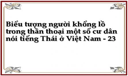 Biểu tượng người khổng lồ trong thần thoại một số cư dân nói tiếng Thái ở Việt Nam - 23