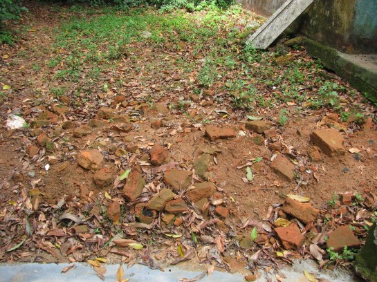 Bản ảnh 29 Hiện trạng phế tích tháp Lương Hậu Nguồn Tác giả Bản ảnh 3