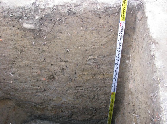 Bản ảnh 46 Địa tầng hố thám sát THC09 TTX1 Nguồn Tác giả 10