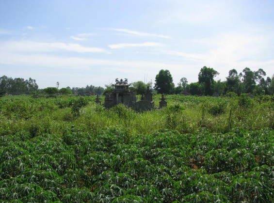 Bản ảnh 39 Phế tích Cồn Tháp Nguồn Tác giả Bản ảnh 40 Gạch Champa tại 3