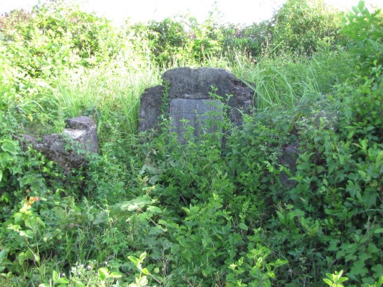 Bản ảnh 52 Mộ cổ trên lũy thành phía Nam của thành Hóa Châu Nguồn Tác giả 6