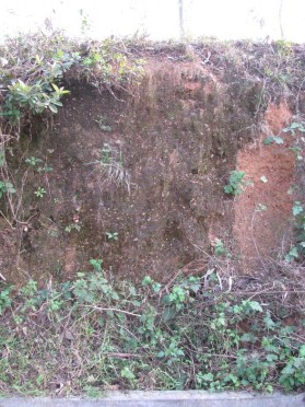 Bản ảnh 66 Kết cấu luỹ thành Lồi Bản ảnh 67 Bia Niêm Phò Nguồn Tác 8