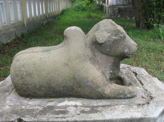 Bản ảnh 142 Bò Nandin Đức Nhuận Nguồn Tác giả Bản ảnh 143 Bò Nandin Tiên 5