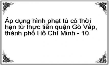 Áp dụng hình phạt tù có thời hạn từ thực tiễn quận Gò Vấp, thành phố Hồ Chí Minh - 10