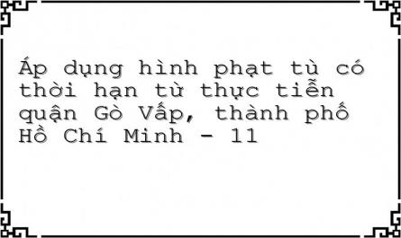 Áp dụng hình phạt tù có thời hạn từ thực tiễn quận Gò Vấp, thành phố Hồ Chí Minh - 11