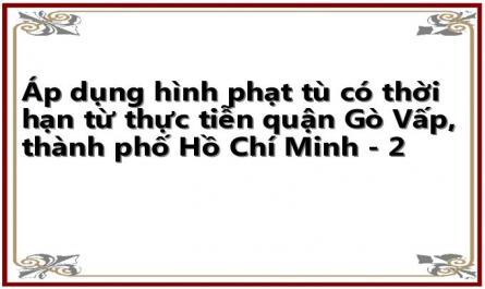 Áp dụng hình phạt tù có thời hạn từ thực tiễn quận Gò Vấp, thành phố Hồ Chí Minh - 2