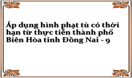 Áp dụng hình phạt tù có thời hạn từ thực tiễn thành phố Biên Hòa tỉnh Đồng Nai - 9