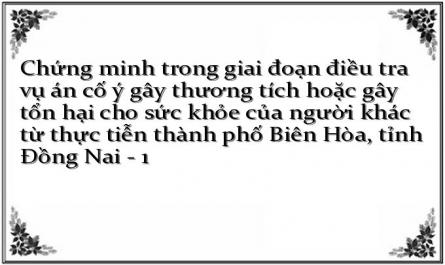 Chứng minh trong giai đoạn điều tra vụ án cố ý gây thương tích hoặc gây tổn hại cho sức khỏe của người khác từ thực tiễn thành phố Biên Hòa, tỉnh Đồng Nai - 1