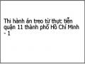 Thi hành án treo từ thực tiễn quận 11 thành phố Hồ Chí Minh - 1