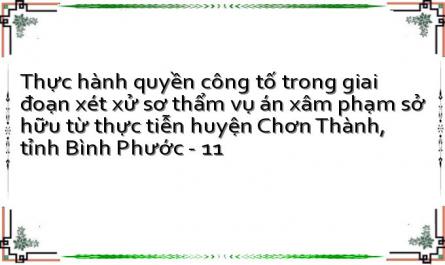 Thực hành quyền công tố trong giai đoạn xét xử sơ thẩm vụ án xâm phạm sở hữu từ thực tiễn huyện Chơn Thành, tỉnh Bình Phước - 11