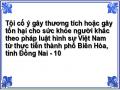 Tội cố ý gây thương tích hoặc gây tổn hại cho sức khỏe người khác theo pháp luật hình sự Việt Nam từ thực tiễn thành phố Biên Hòa, tỉnh Đồng Nai - 10