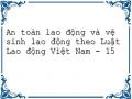 An toàn lao động và vệ sinh lao động theo Luật Lao động Việt Nam - 15